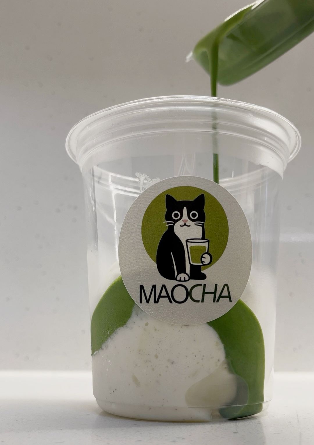 Matcha Affogato