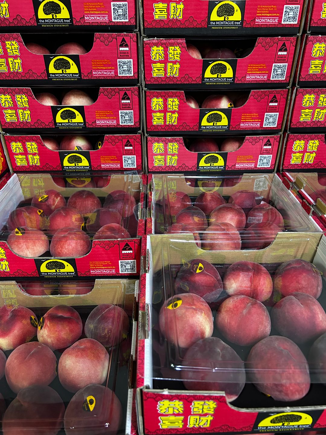 1 BOX Australia Montague Giftbox 9s