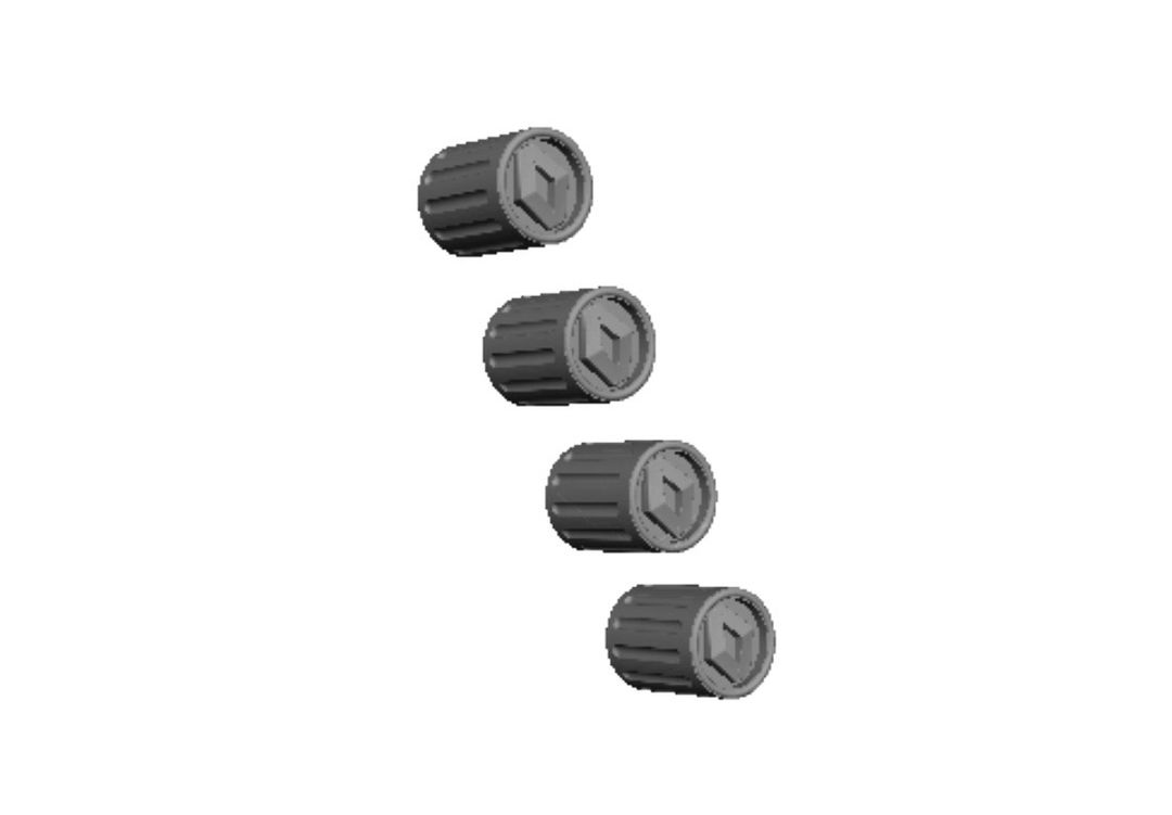Renault 2 Tyre Valve cap  