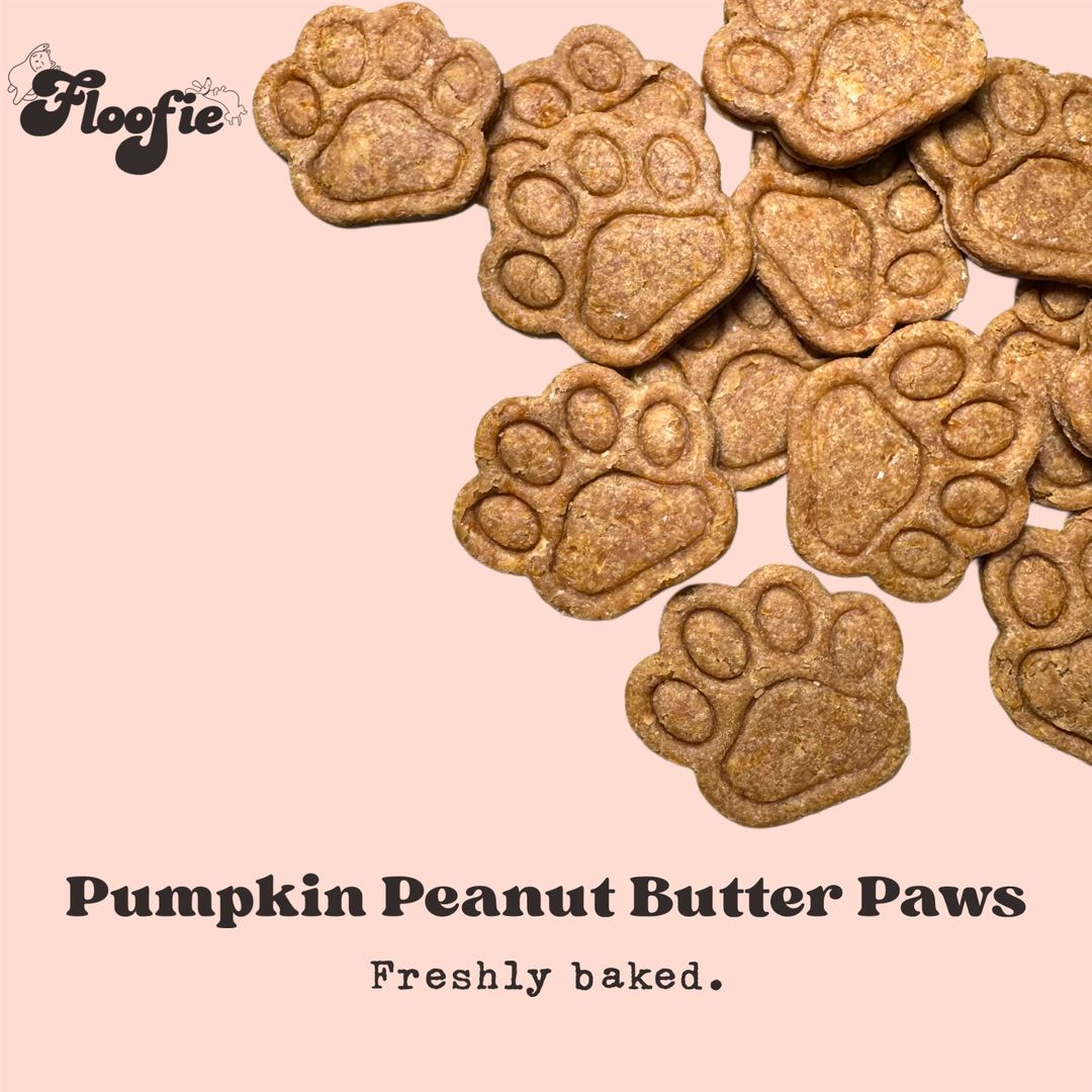 Pumpkin Peanut Butter Paws 