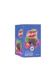 1579 MULBERRY ALTHUNSA 