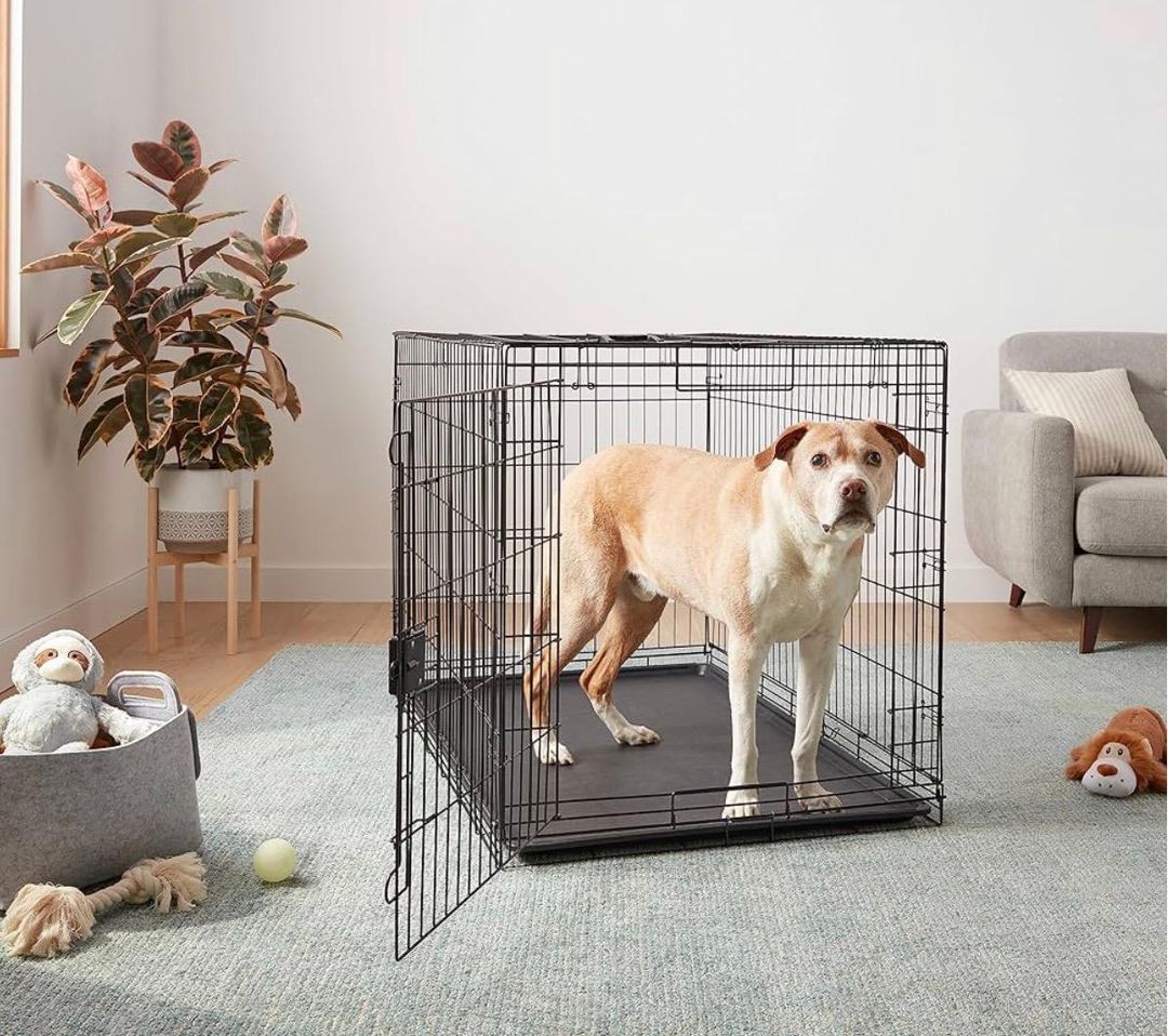 Durable Foldable Metal Wire Dog Crate with Tray. 