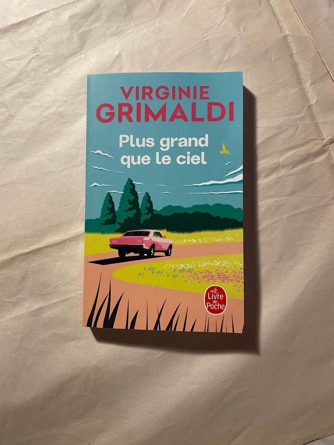 Plus grand que le ciel de Virginie Grimaldi