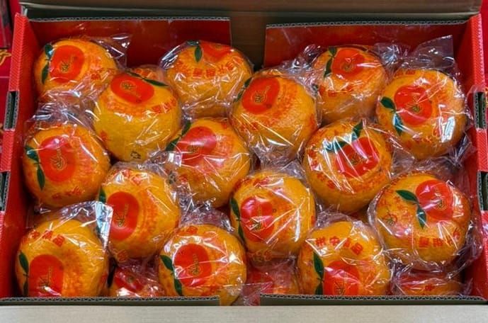 Honey Lukan 46pcs (芦柑）