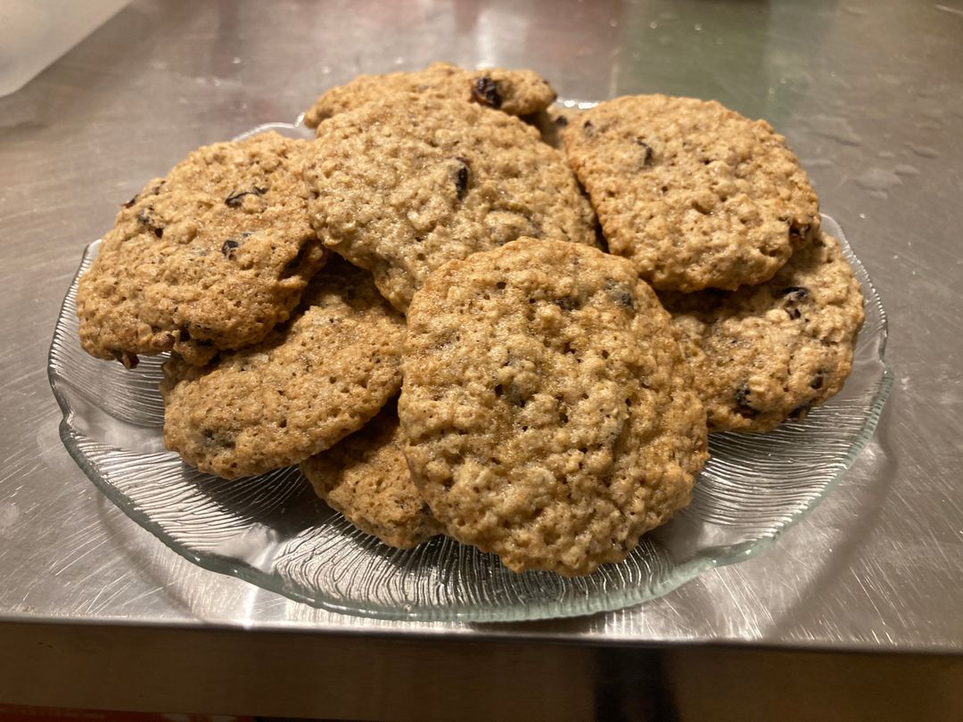 Sourdough Oatmeal Craisins Cookies עוגיות מחמצת שיבולת שועל עם חמוציות