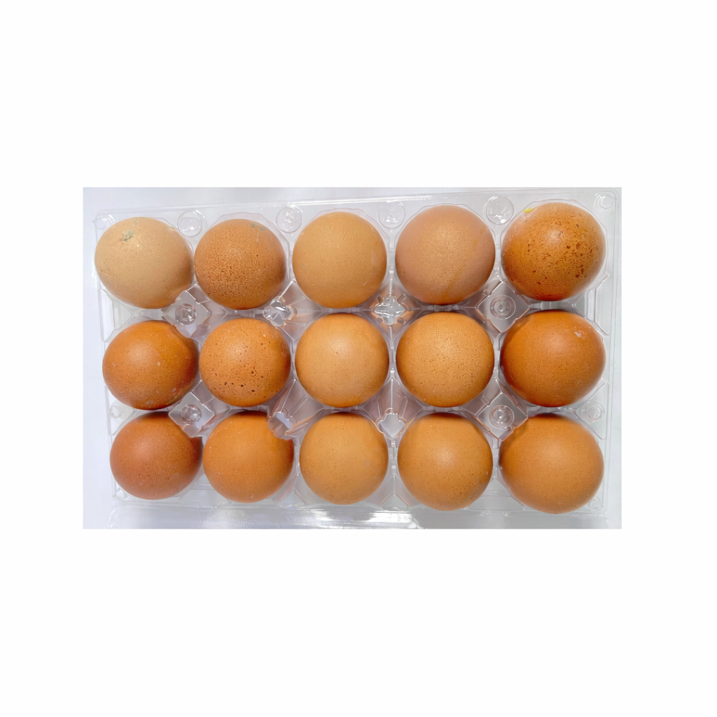 بيض احمر نصف طبقة 