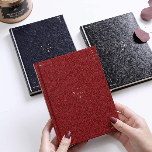 3 Years Diary
