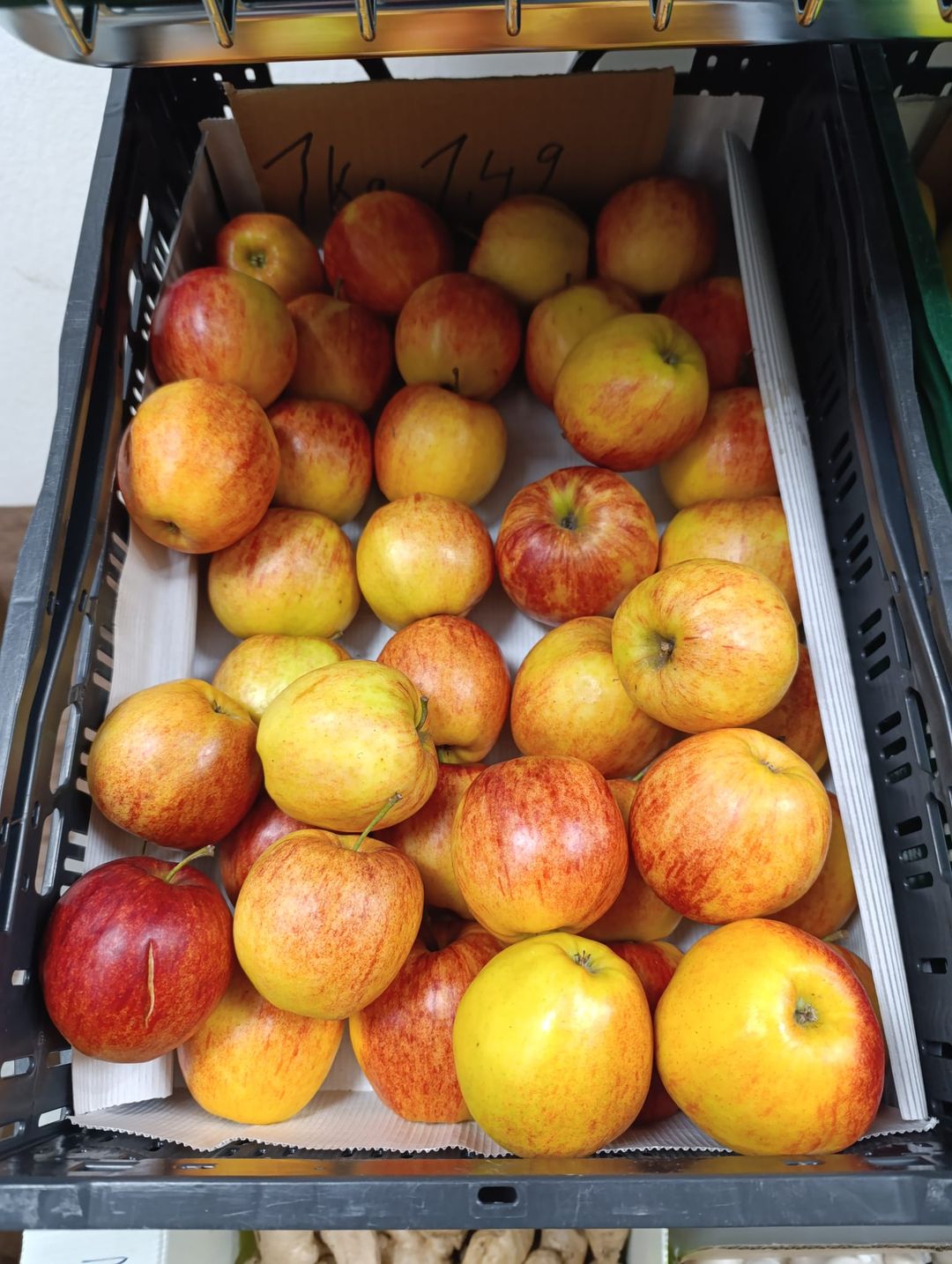 تفاح أحمر | ِApfel rot | 1KG