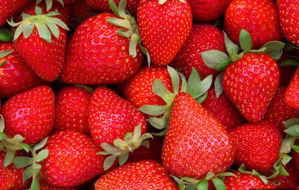 Fresas