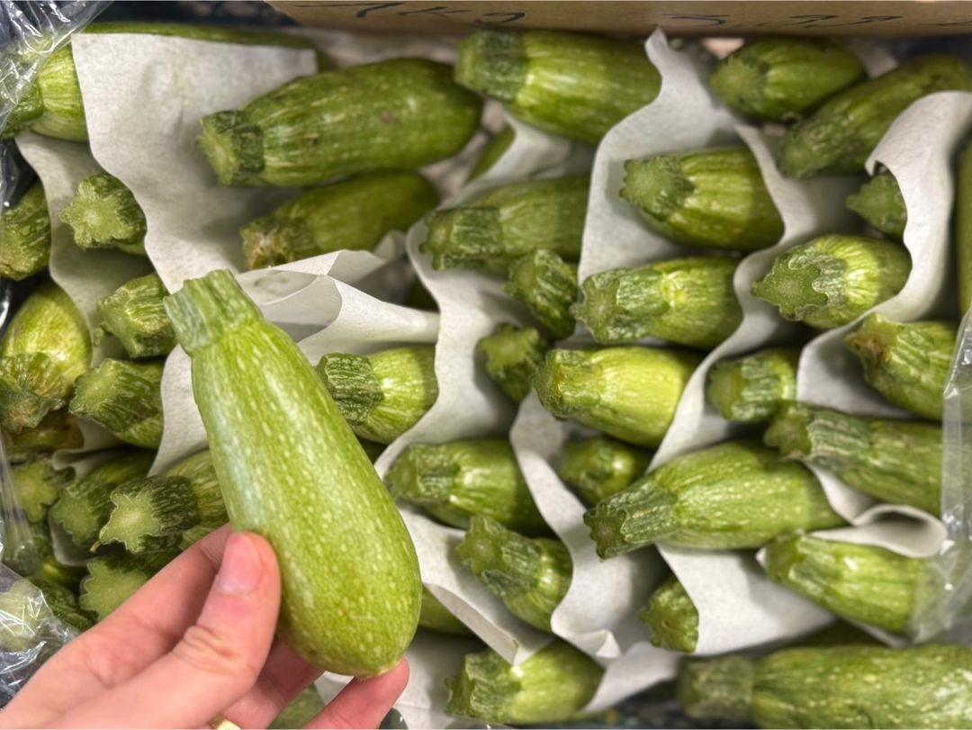 كوسا بلدية | Zucchini