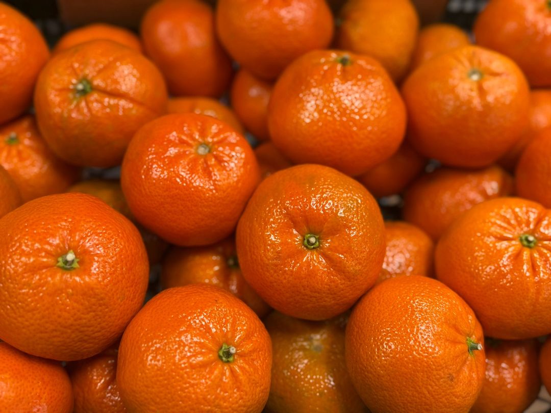 كرمنتينا كبيرة | Clementine