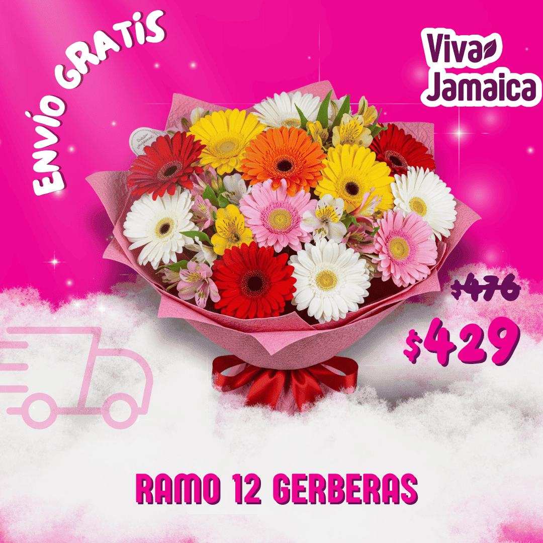 Ramo 12 Gerberas