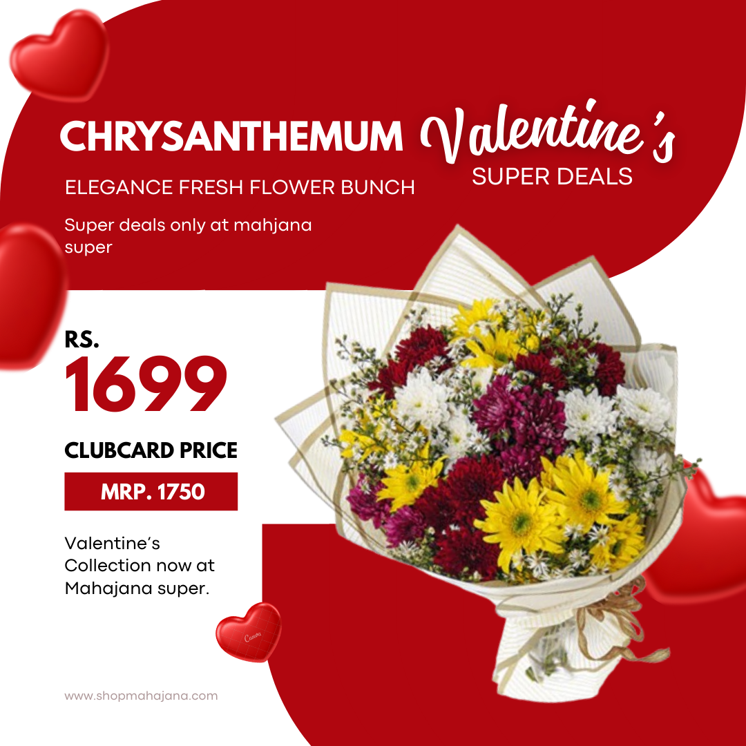 Chrysanthemum Elegance Fresh Flower bunch