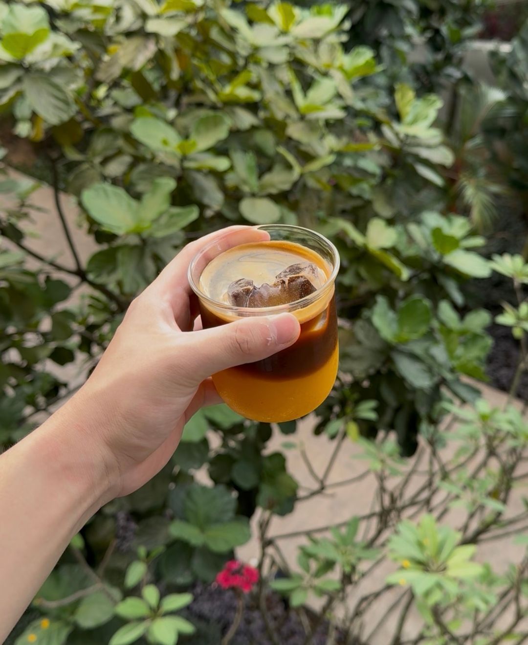 Orange Americano 🍊☕️