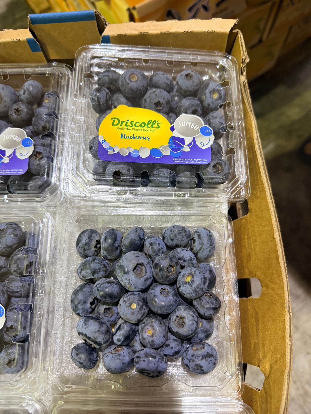 Driscoll’s Laos Jumbo Blueberry