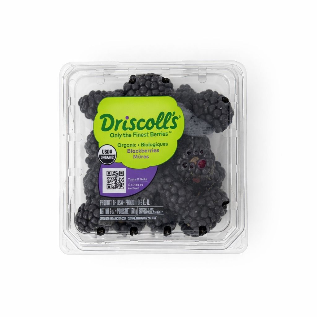 توت أسود عضوي (Driscoll’s) – الولايات المتحدة (علبة 170 جم) / Organic Blackberry (Driscoll’s) – USA (170g pack)