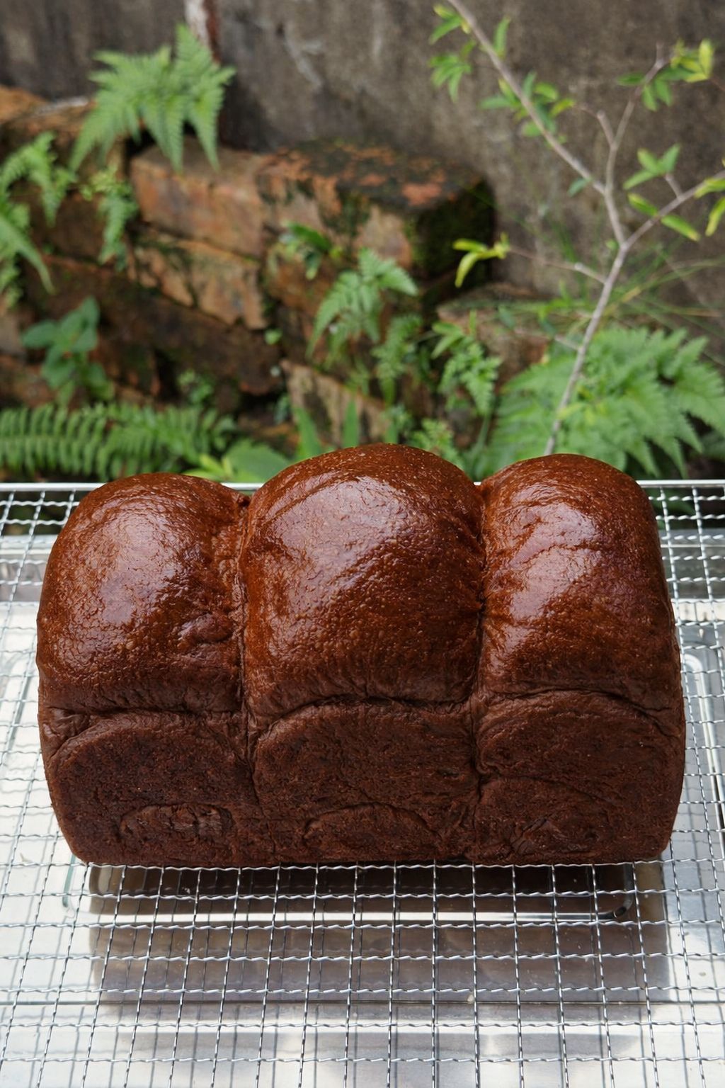 Chocolatey 72-Hour Shokupan 极生巧克力生吐司