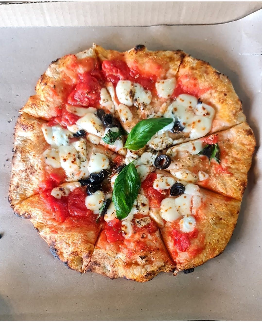 PB124 Margherita Pizza