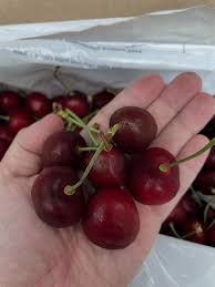 500 CHERRY 1kg