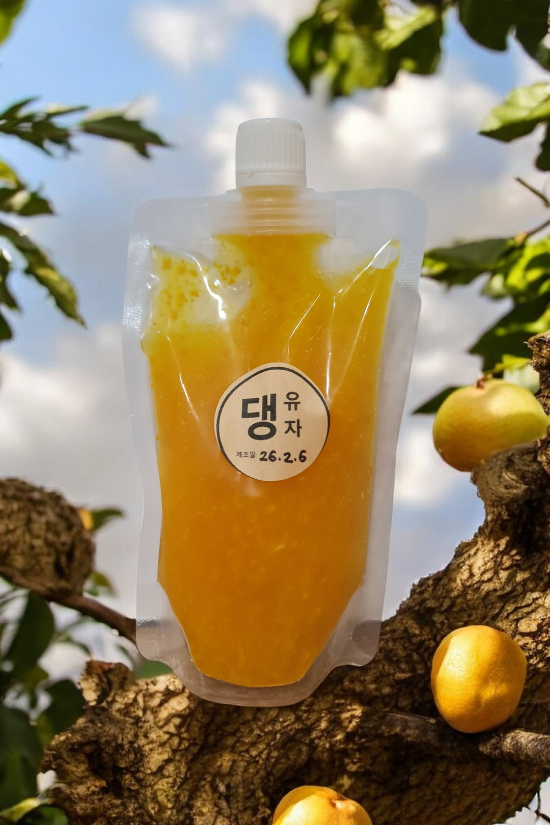 제주 댕유자청 JEJU Yuzu Citron Tea