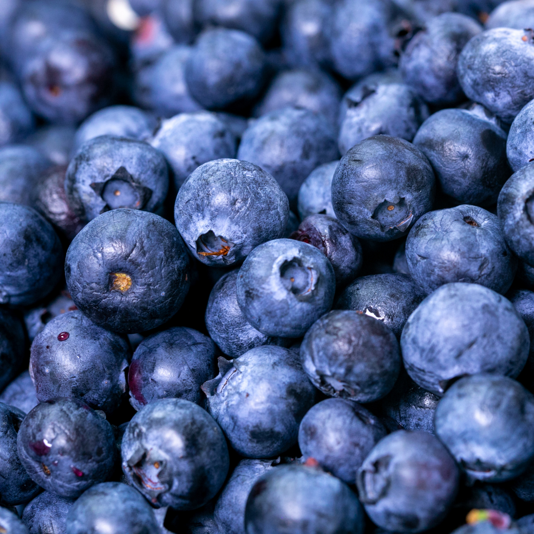 Single Notes - Blueberry