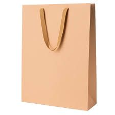 Paper Bags (300 × 400 × 100 mm)