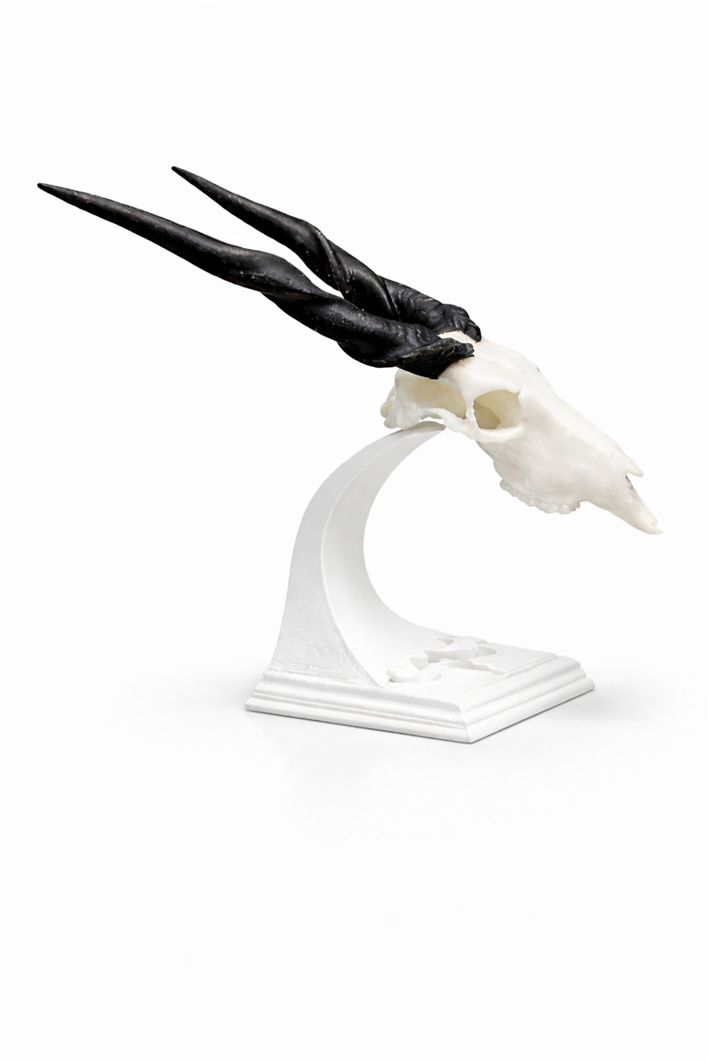 Stand for Mini Animal skulls. 