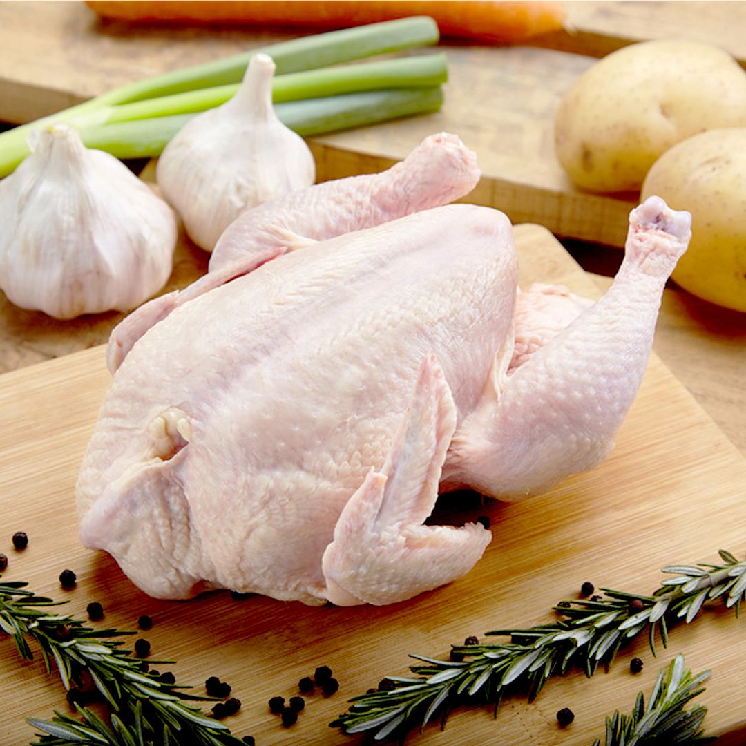 Ayam Segar (Fresh Chicken)