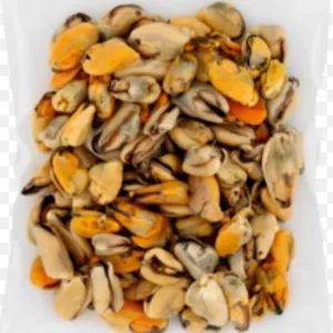 Kupang Meat w/o Shell.🐌