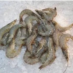 Market Grey Prawns (M)