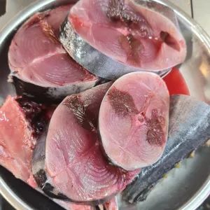 Ikan Tongkol with head.(1.2kg-1.4kg)