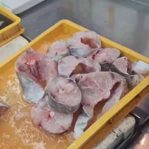 Ikan Duri (Fresh)