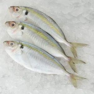 FROZEN kuneng fish (1kg pack)