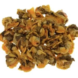 Kerang Rebus(Cooked)🐌