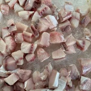 Shark Cubes (Frozen)