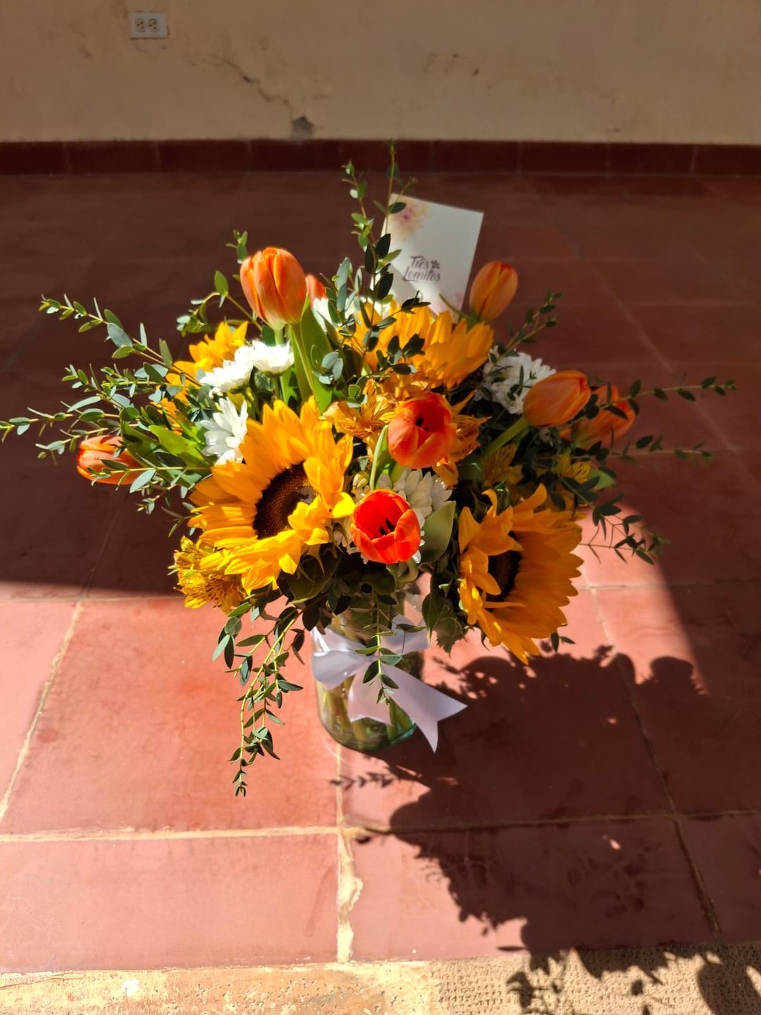 Jardín Radiante en Jarrón