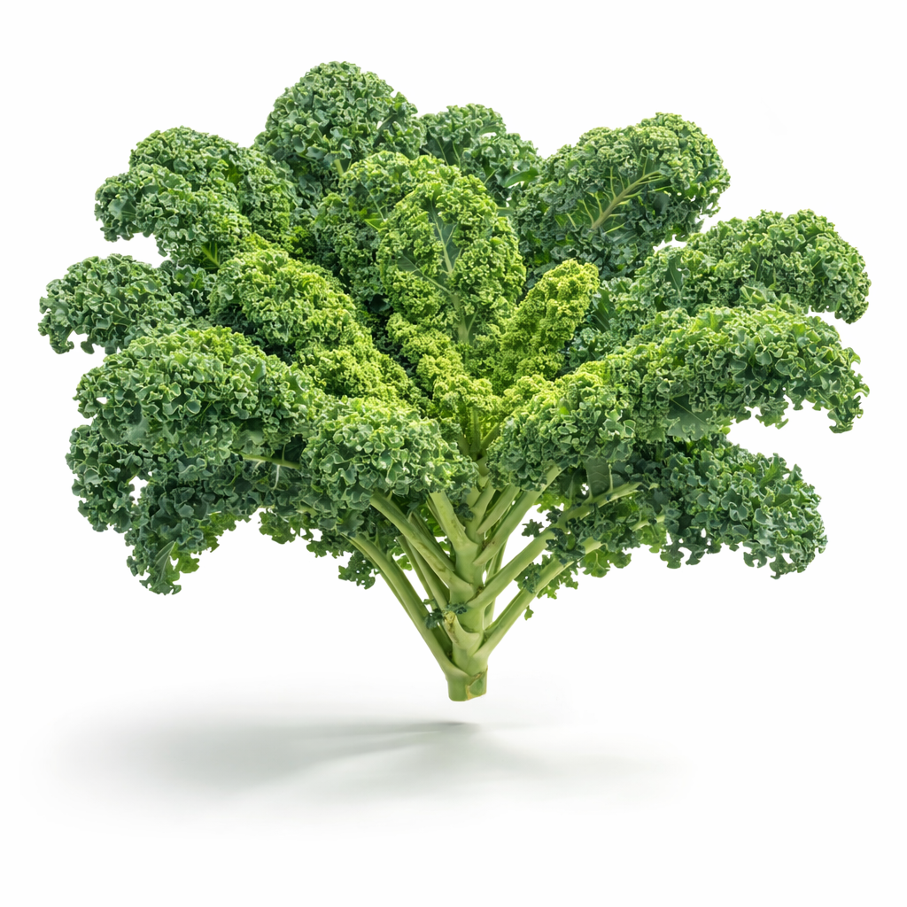 Kale Vates Blue x 50 seeds