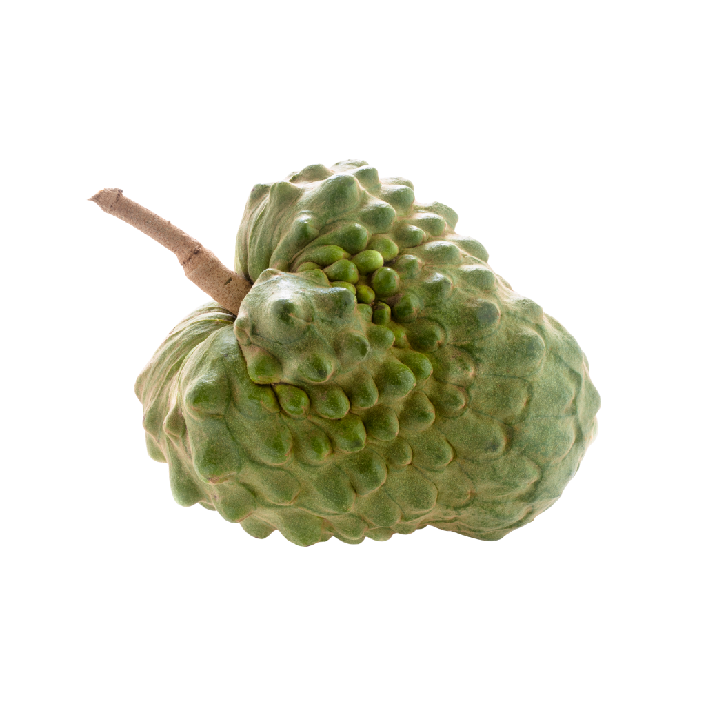 Imported Atis / Custard Apple (By the Box) 