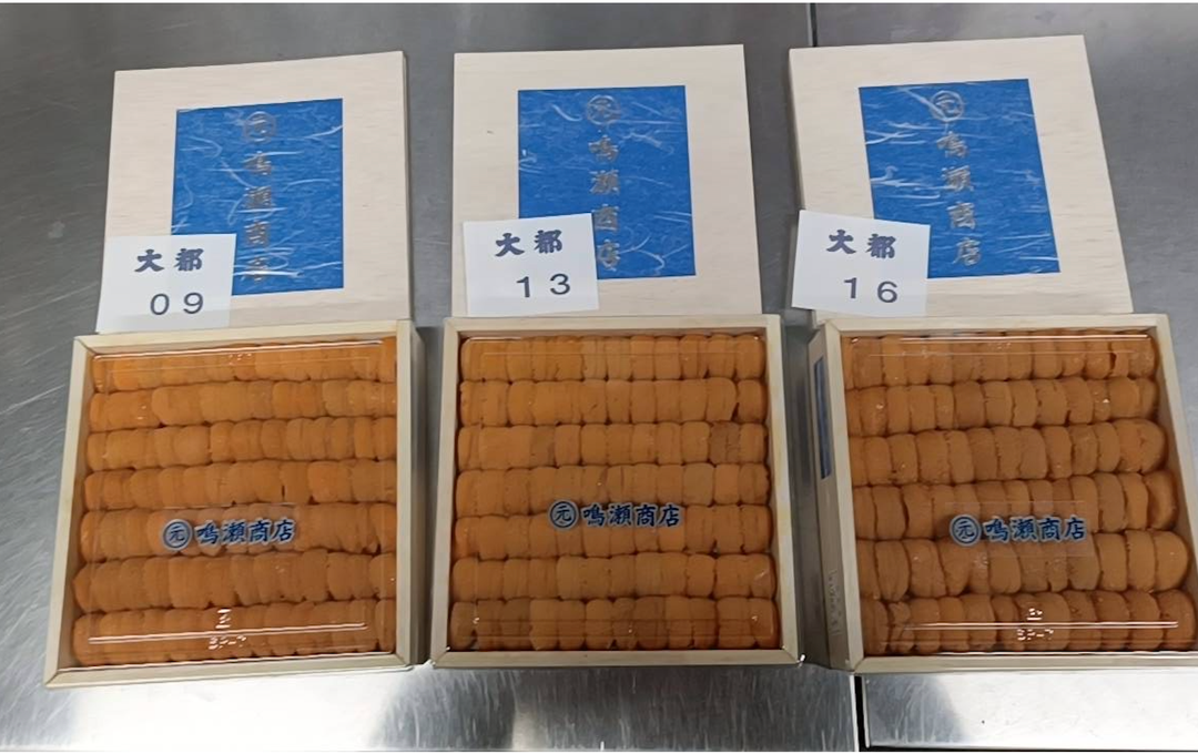 400g 'Naruse 鳴瀬' Bafun Uni