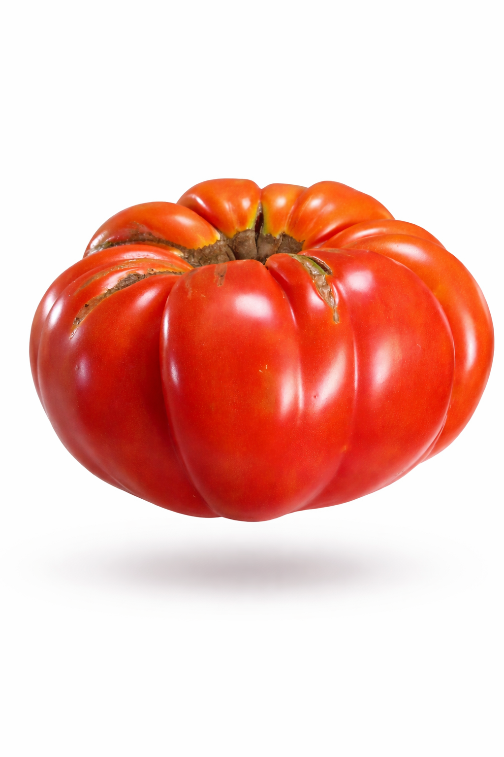 BIG ZAC GIANT TOMATO x 10 seeds