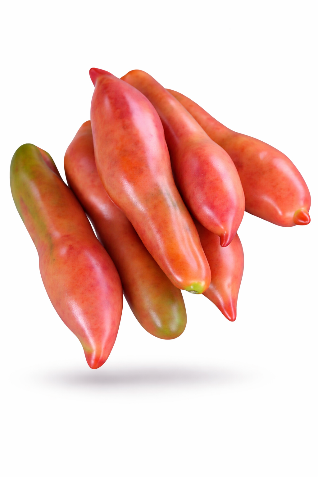 🍅TOMATO PINK FANG🍅 x 15 + organic seeds