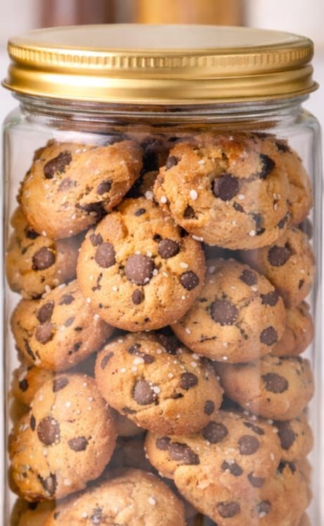 Seasalt Chocolate Chip