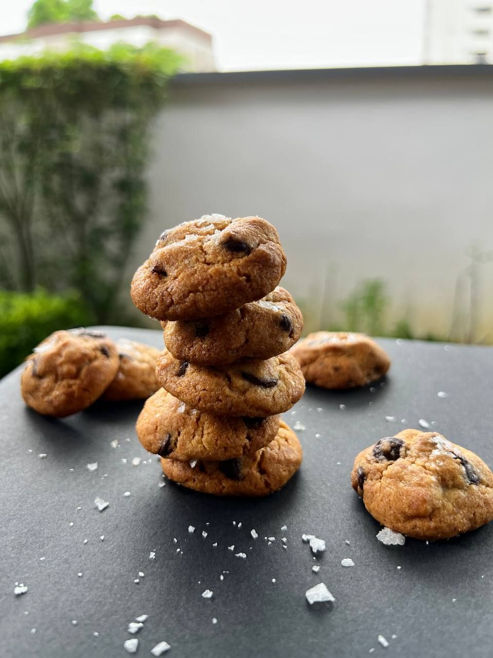 Sea Salt Choc Chip Cookie - Bag of 12 pcs