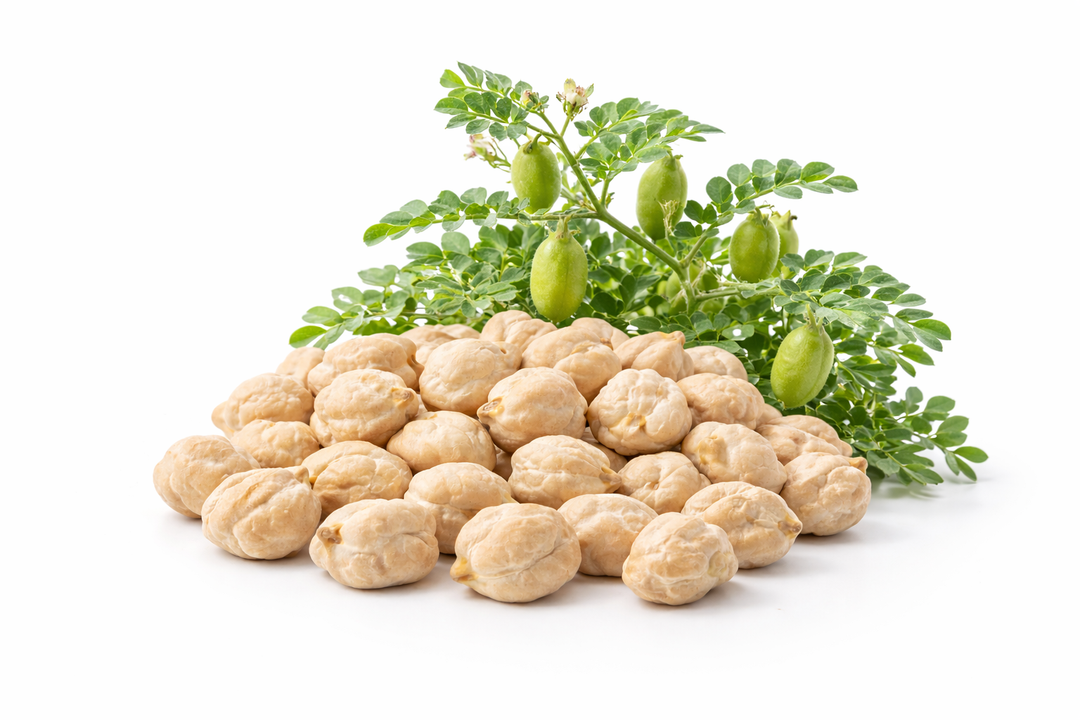 🌿CHICKPEAS🌿 x 20+ organic seeds