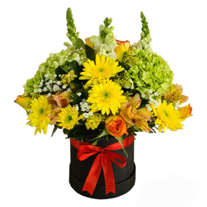 🌼 Flor Margarita Amarilla | Caja de Flores Amarillas