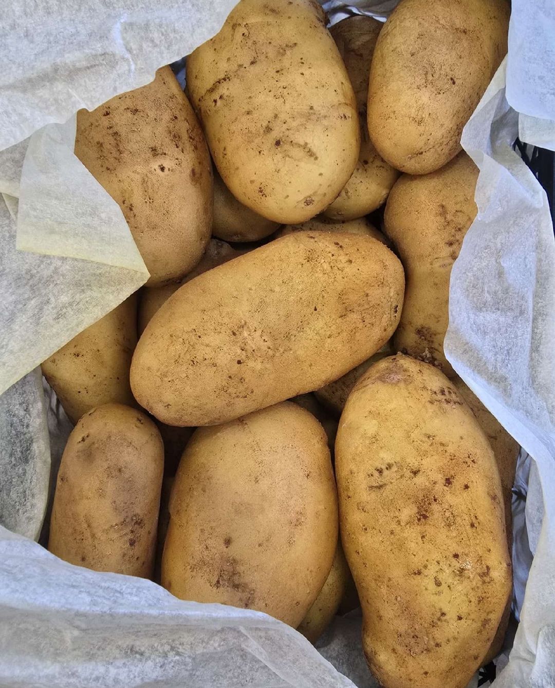 بطاطا مالحة كبيرة | kartoffel Salz | 1Kg 