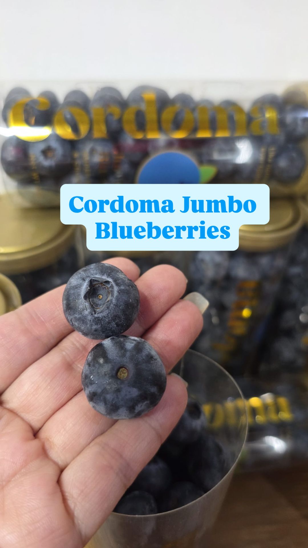 CORDOMA JUMBO BLUEBERRIES