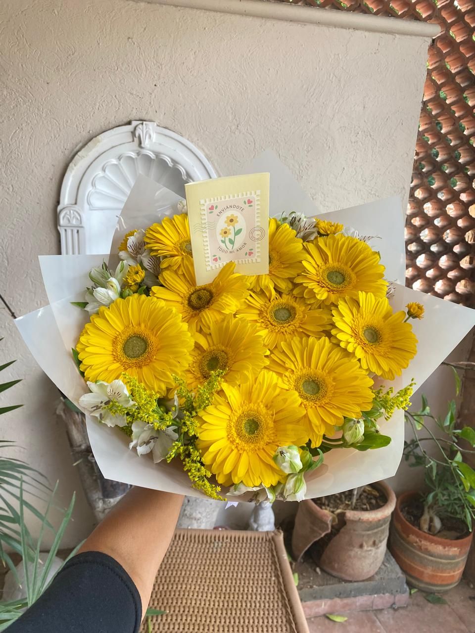 Maxi gerberas amarillas