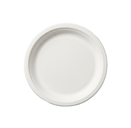 Disposable Paper Products