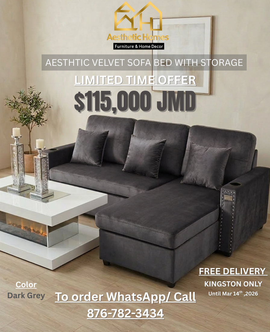 Aesthetic Velvet Sofa Bed + Extra Storage 